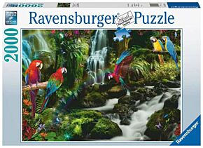 Parrots' Paradise Ravensburger