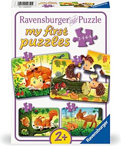 First puzzles with animals