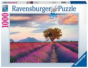 Lavender Field In The Golden Hour  - jigsaw puzzle 1000 pieces