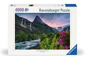 Ravensburger puzzl 4000 Hidden World of Fairies