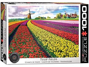 Tulip fields (Eurographics puzzle 1000 pieces)